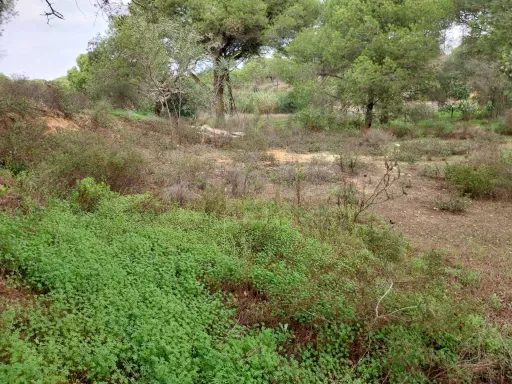 Lote de terreno em Vale Verde Almancil