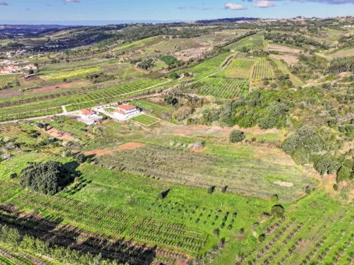 Rustic land with construction feasibility