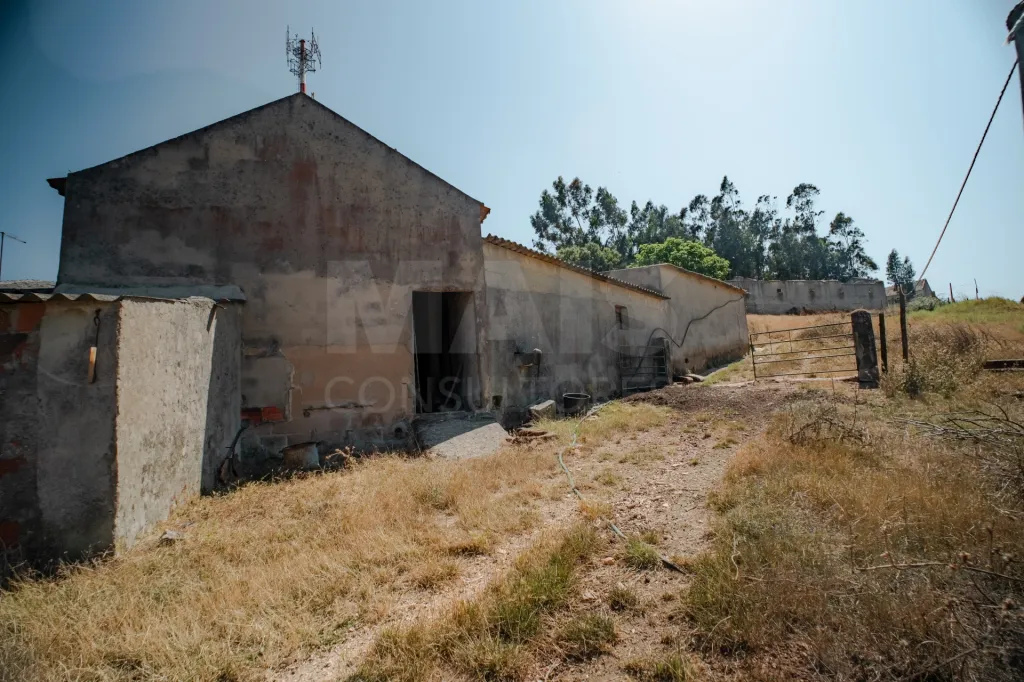 Quintinha T3 com 7.616 m² de terreno urbano e anexos (Casal do Rei)