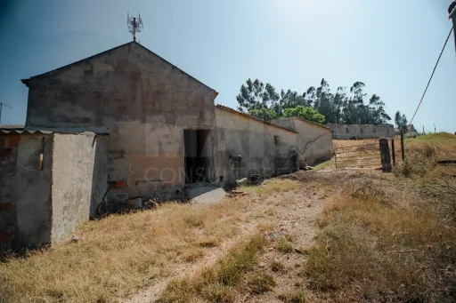 Quintinha T3 com 7.616 m² de terreno urbano e anexos (Casal do Rei)