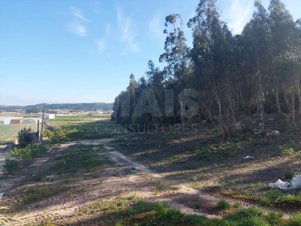 Terreno de 1380m2 em Olho Marinho