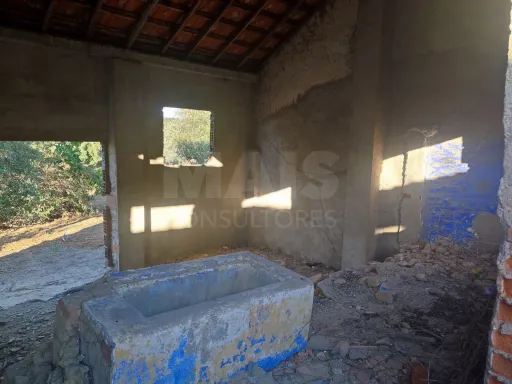 Quinta com moradia para recuperar na zona de Abrantes