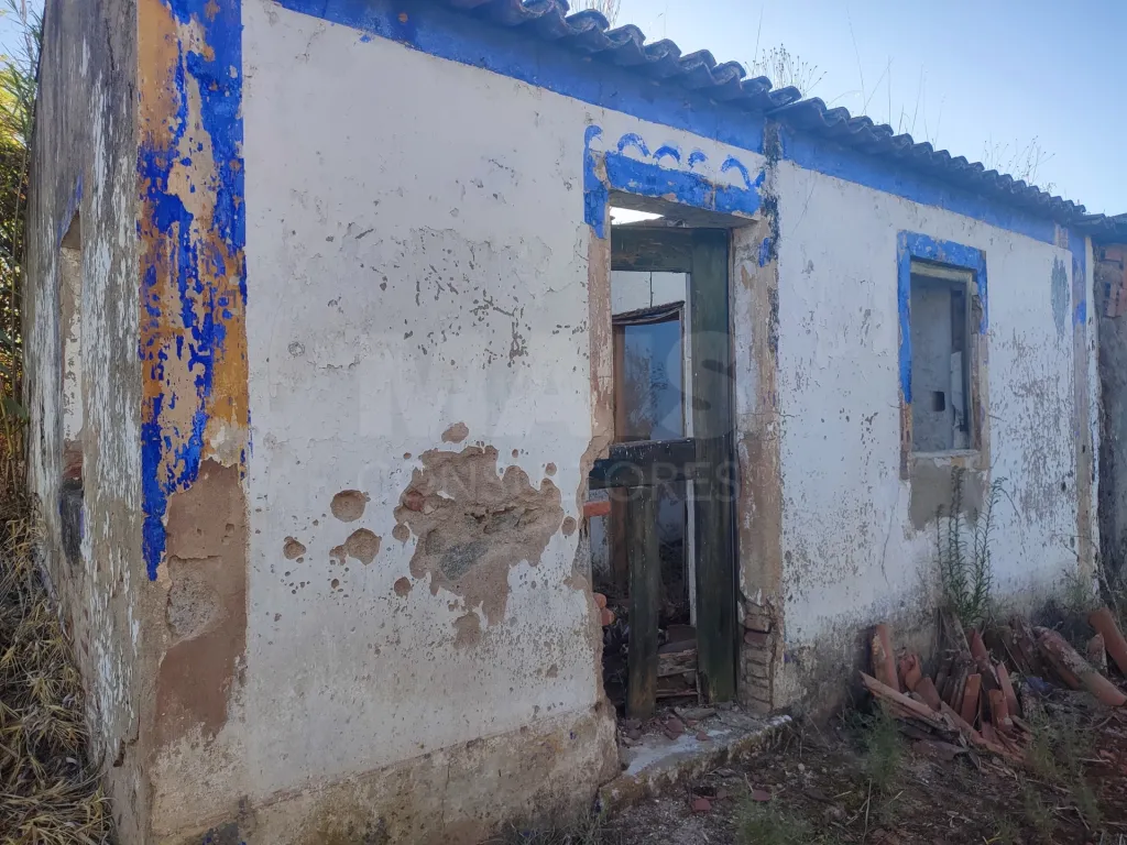 Quinta com moradia para recuperar na zona de Abrantes