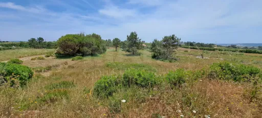 2 Lotes de Terreno (Rústicos) Serra dos Mangues, São Martinho do Porto