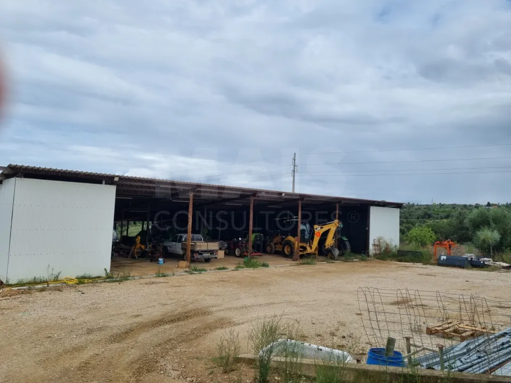 QUINTA, em  Casas Novas  - MOURISCAS -ABRANTES