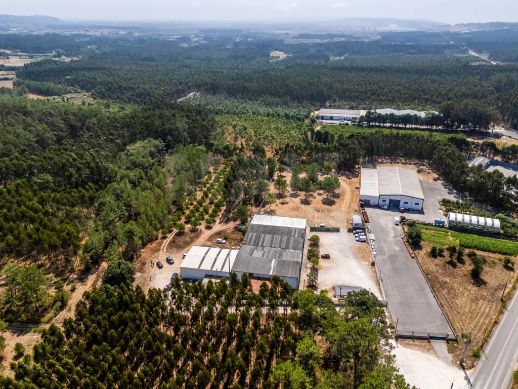 Terreno com 7950m2, perto das praias da Nazaré e São Martinho do Porto