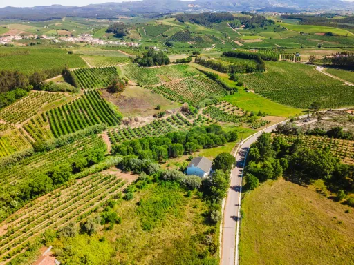Moradia Isolada com Terreno de 9.840 m² em Barreiras – Cadaval
