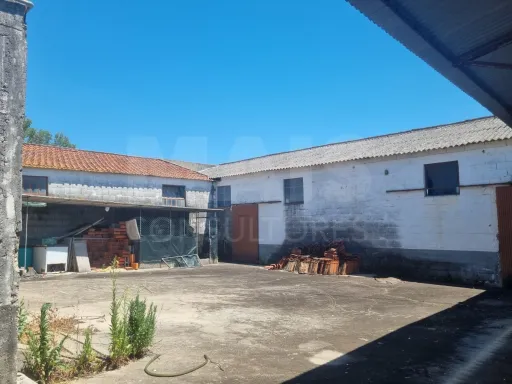 Quintinha com 6,2 Hectares, Água Abundante e 902 m² de Construção em Torres Novas