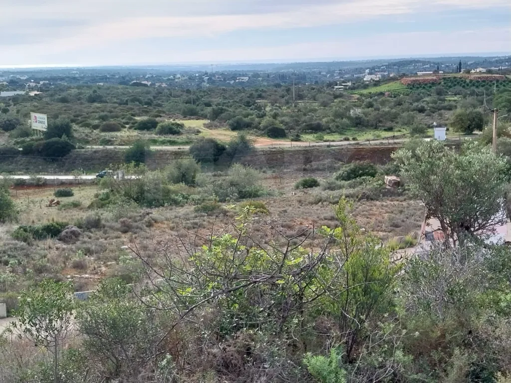 Bonito lote de terreno Rustico