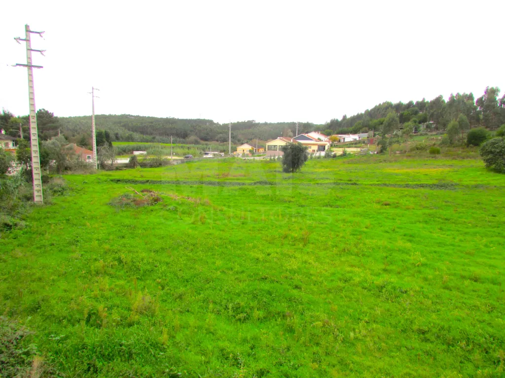 Terreno Urbanizável - 1,7ha - Torres Vedras - Ramalhal
