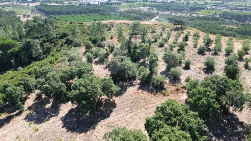 Terreno Rústico 12.400 m² – Autêntico Miradouro Natural sobre o Ribatejo e Serra de Montejunto