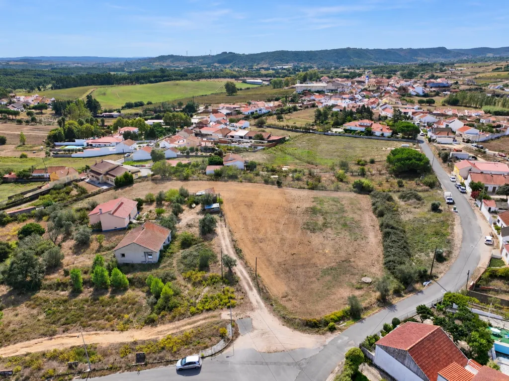 Terrano de 7.024 m2 com Potencial de Loteamento | Alcoentre