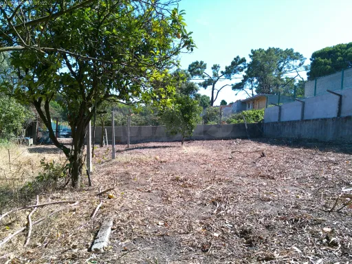 Terreno Rústico, Quinta da Oliva - Charneca da Caparica