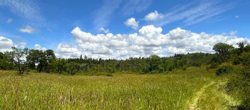 Herdade com 11,6 hectares em São Bartolomeu da Serra, Santiago do Cacém