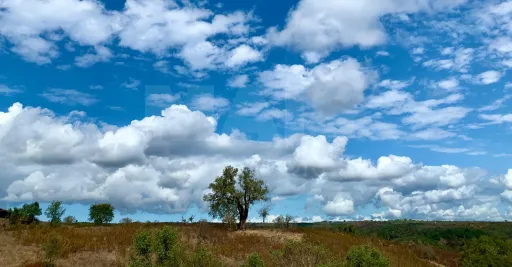 Herdade  com 40,85 hectares em São Bartolomeu da Serra, Santiago do Cacém