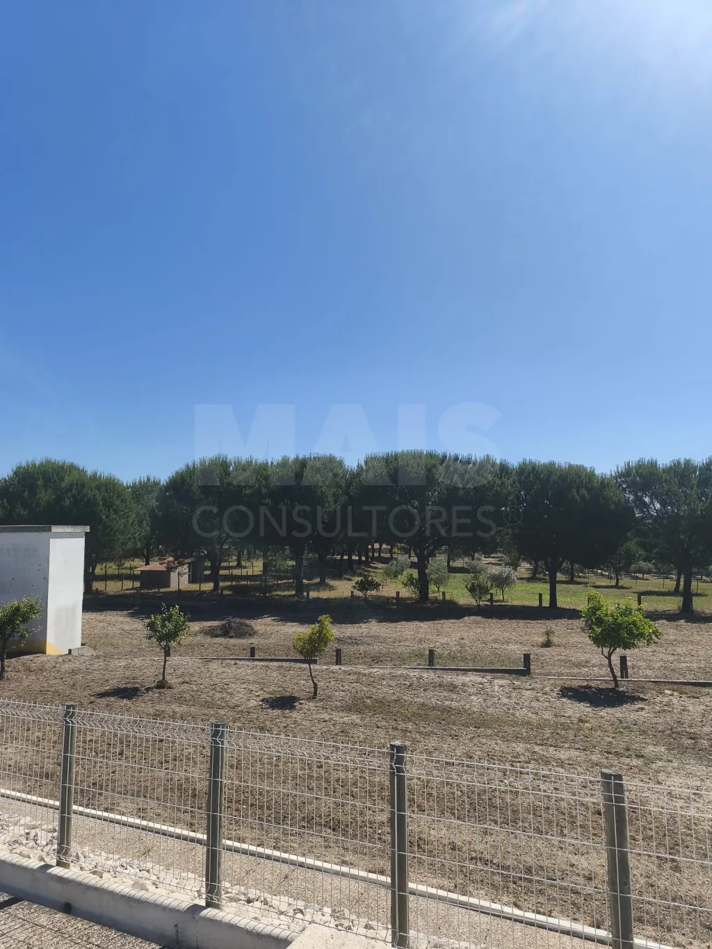 Propriedade com Piscina e Instalações Equestres – Um Refúgio Tranquilo com Potencial de Expansão