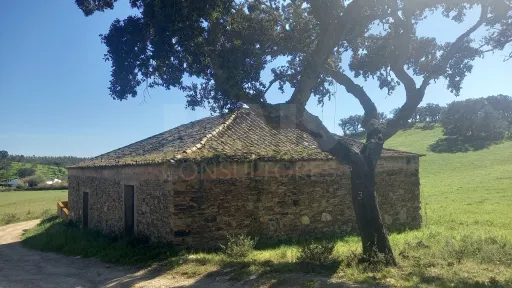 Herdade de 30 hectares em Cercal do Alentejo, Santiago do Cacém, Setúbal