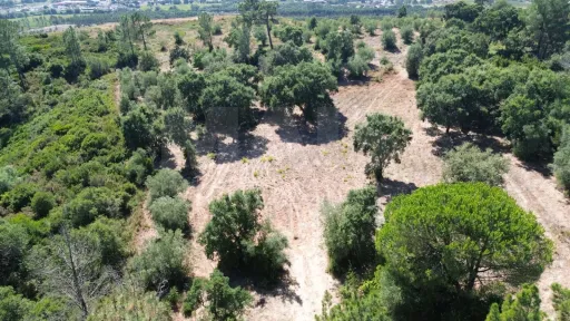 Terreno Rústico 12.400 m² – Autêntico Miradouro Natural sobre o Ribatejo e Serra de Montejunto