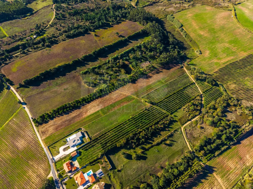 Terreno de 7240m2 com vista deslumbrante para a Serra do Montejunto