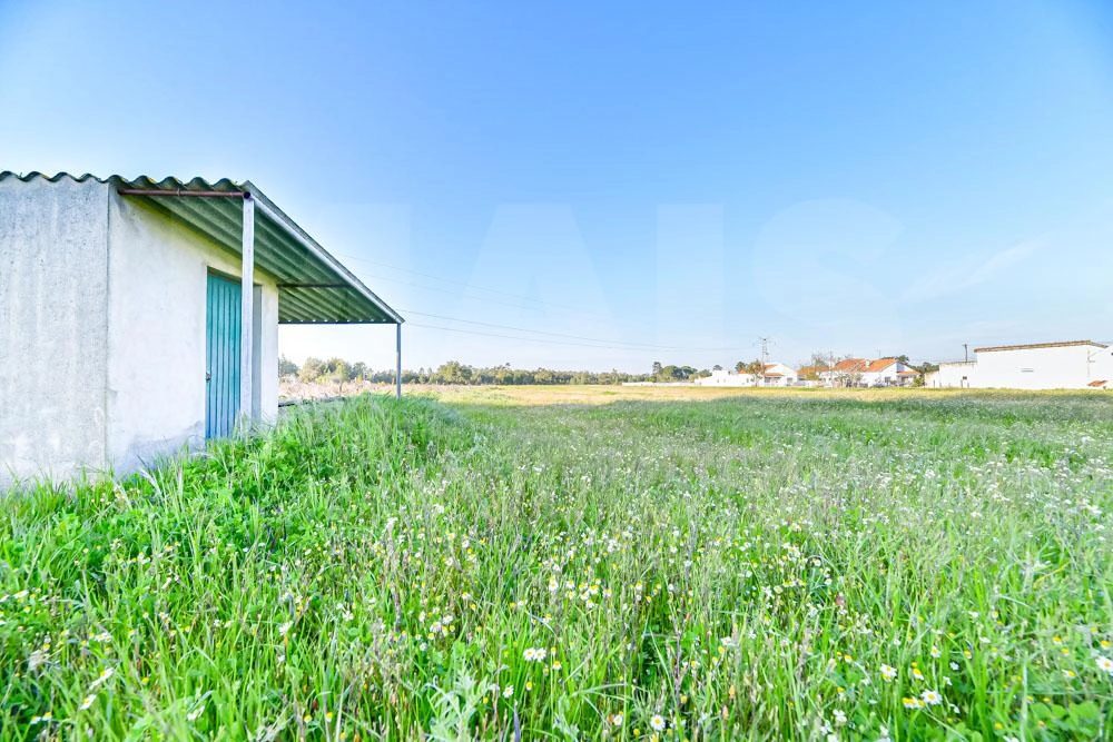 Terreno com 11770 m² | Furo de água | Califórnia