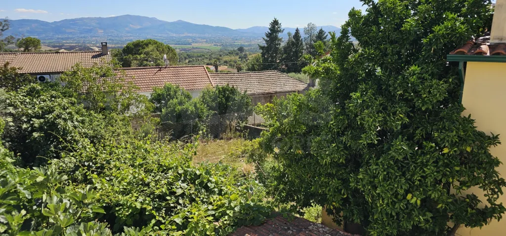 Moradia 2 Pisos centro Peroviseu c/ Terreno 500m2 e Garagem