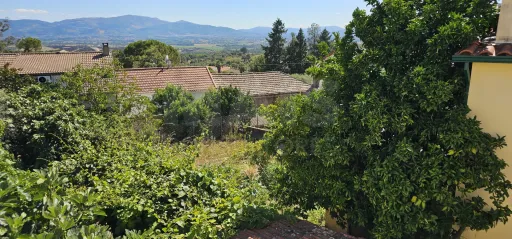 Moradia 2 Pisos centro Peroviseu c/ Terreno 500m2 e Garagem