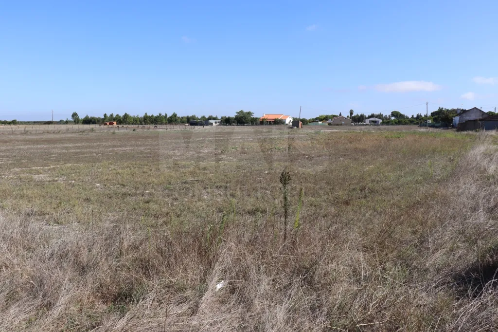 Terreno em Benavente