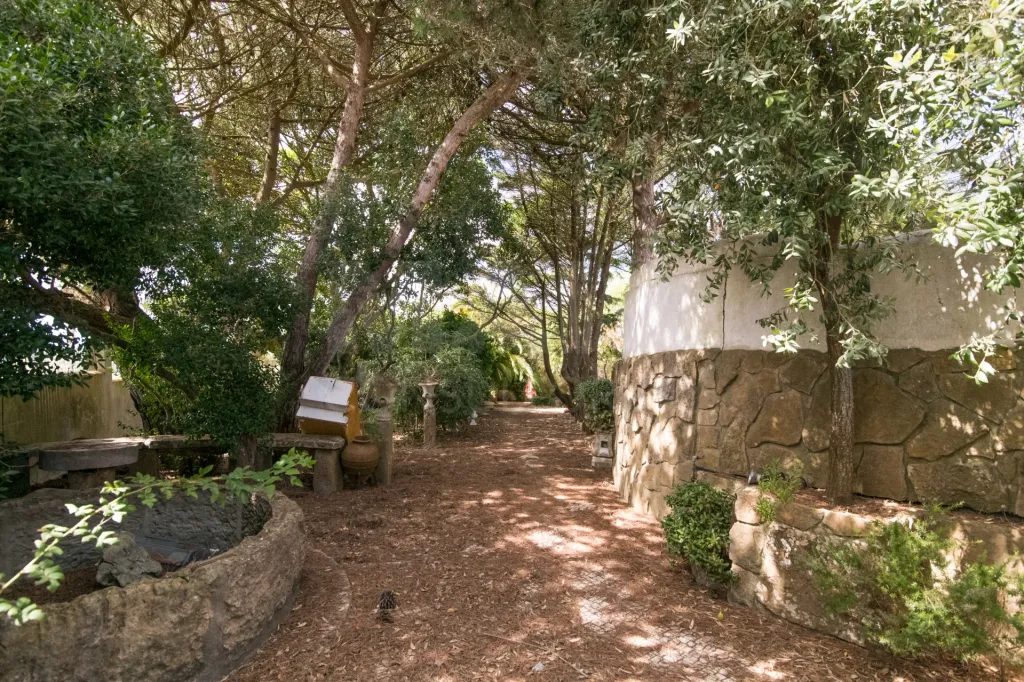 Terreno Urbano junto ao Parque Natural  em Sintra