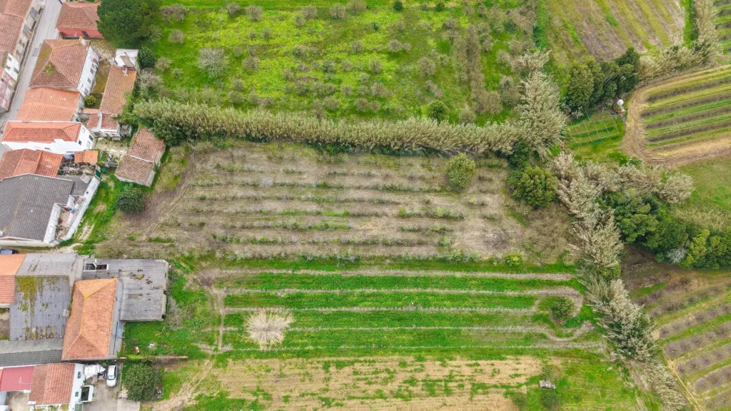 Land in the center of Usseira