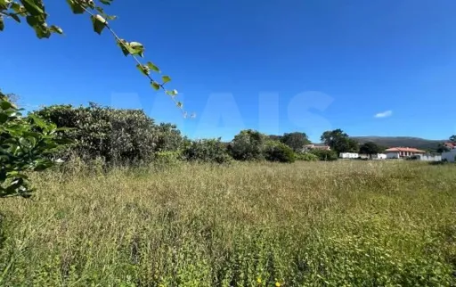 Terreno rústico próximo da praia de Vila Praia de Âncora