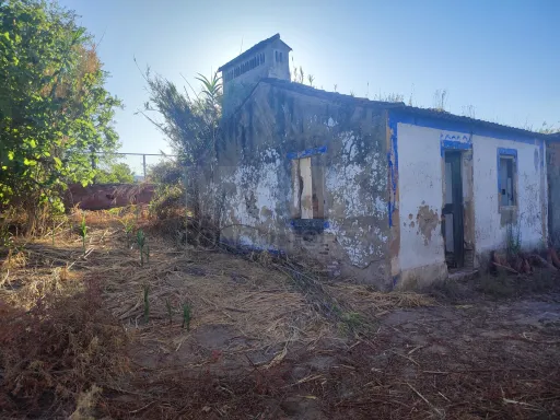 Quinta com moradia para recuperar na zona de Abrantes