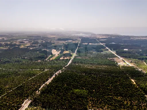 7950m2 plot of land near the beaches of Nazaré and São Martinho do Porto