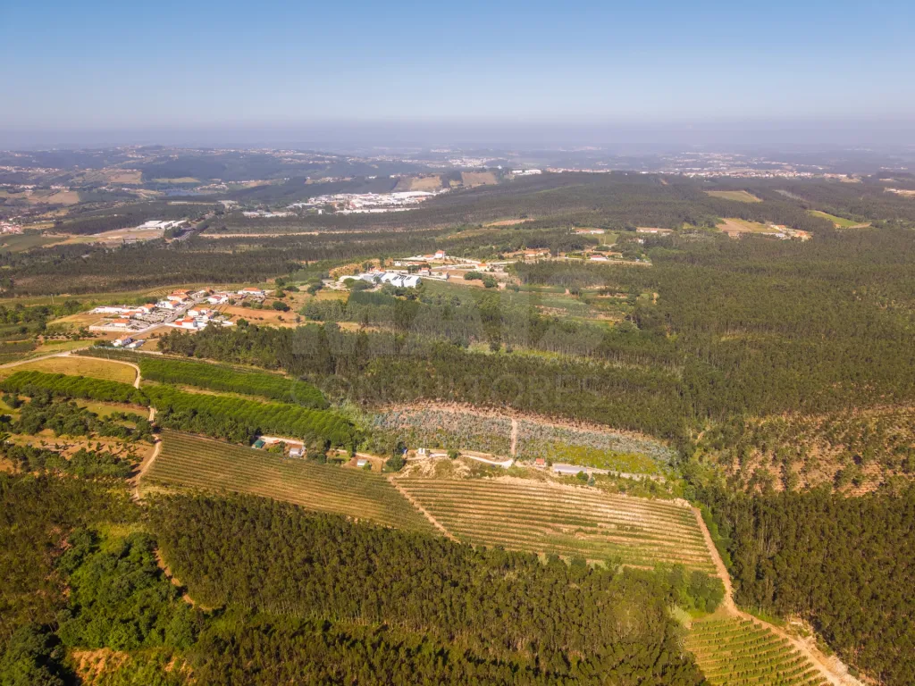 Terreno Agrícola na Fanadia | 16.100 m² de Potencial e Infraestruturas Preparadas
