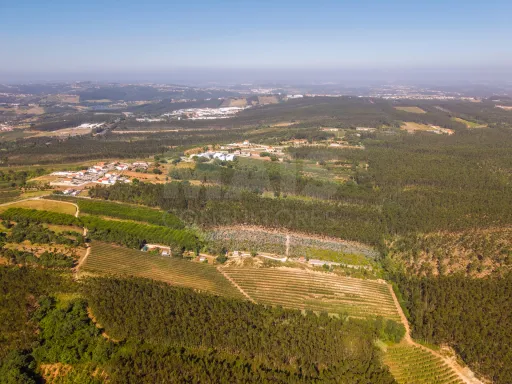 Terreno Agrícola na Fanadia | 16.100 m² de Potencial e Infraestruturas Preparadas