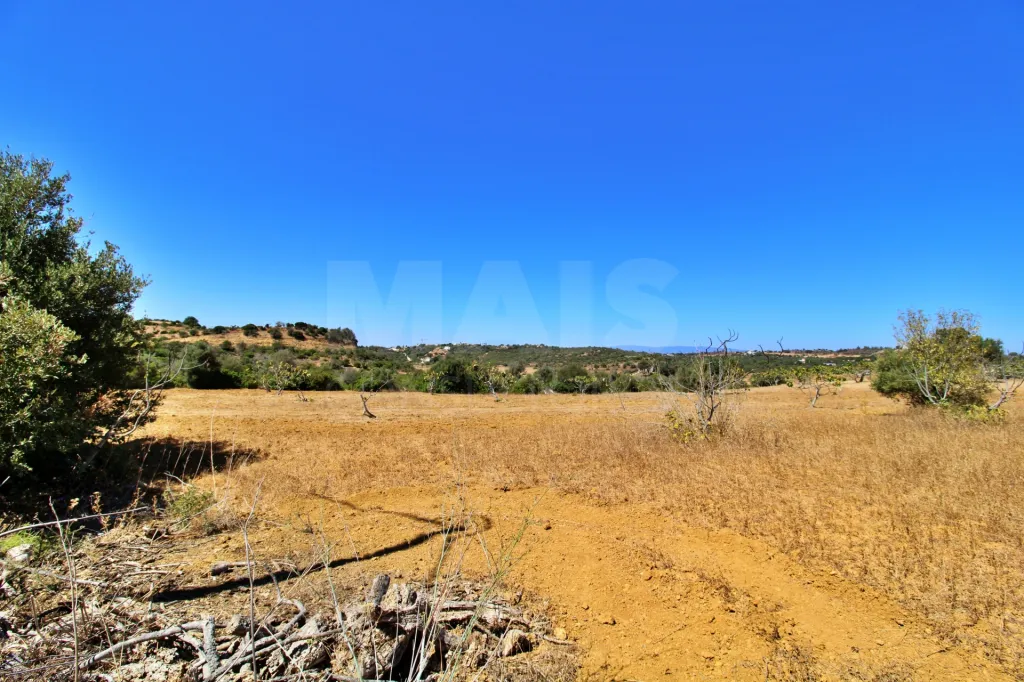 Terreno rústico em Algoz
