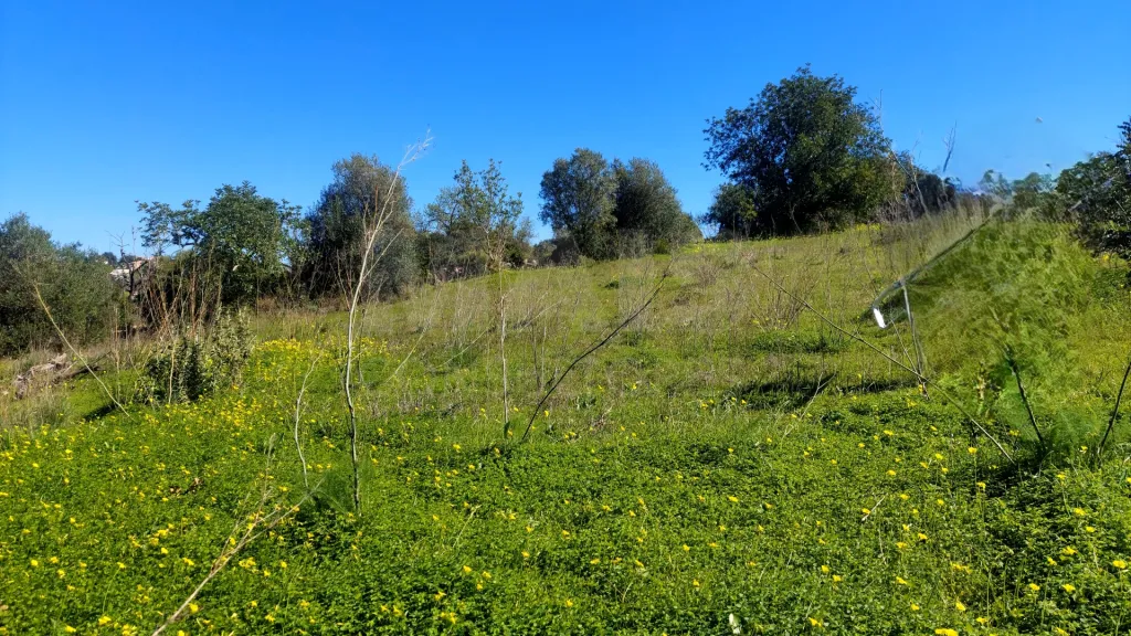 Lote de Terreno Rustico
