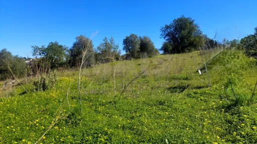 Lote de Terreno Rustico