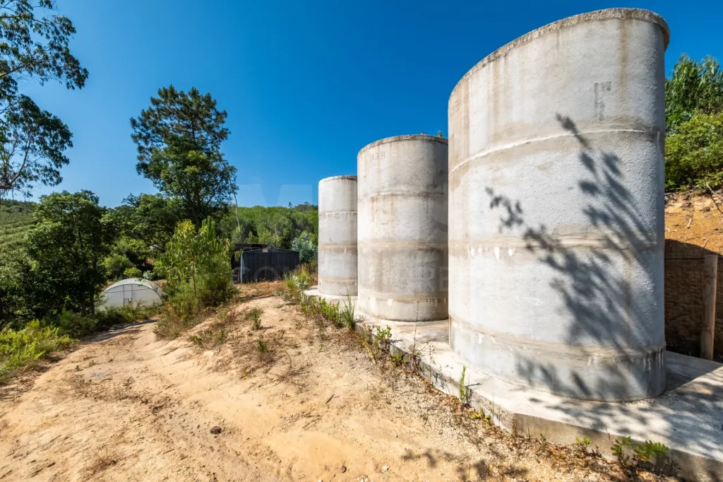 Terreno Agrícola na Fanadia | 16.100 m² de Potencial e Infraestruturas Preparadas