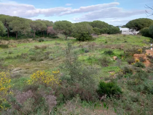 Lote de terreno Rustico com bom acesso e eletricidade