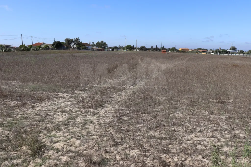 Terreno em Benavente