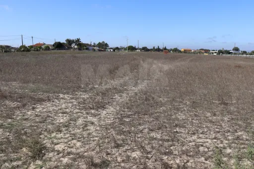 Terreno em Benavente