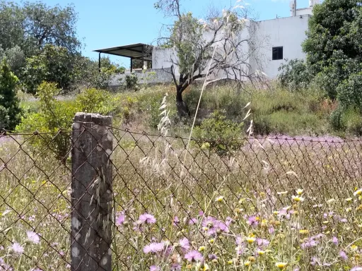 Casa Algarvia para remodelar