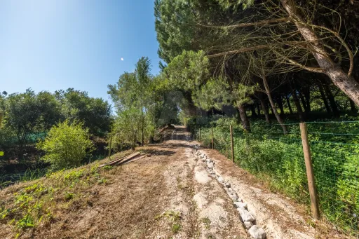 Terreno Agrícola na Fanadia | 16.100 m² de Potencial e Infraestruturas Preparadas