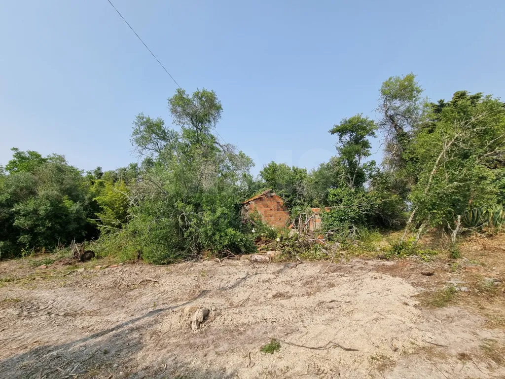 Terreno Misto com Ruina em TORRES NOVAS