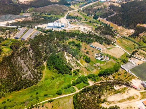 Terreno com quatro hectares e meio perto de indústria, no concelho de Torres Vedras