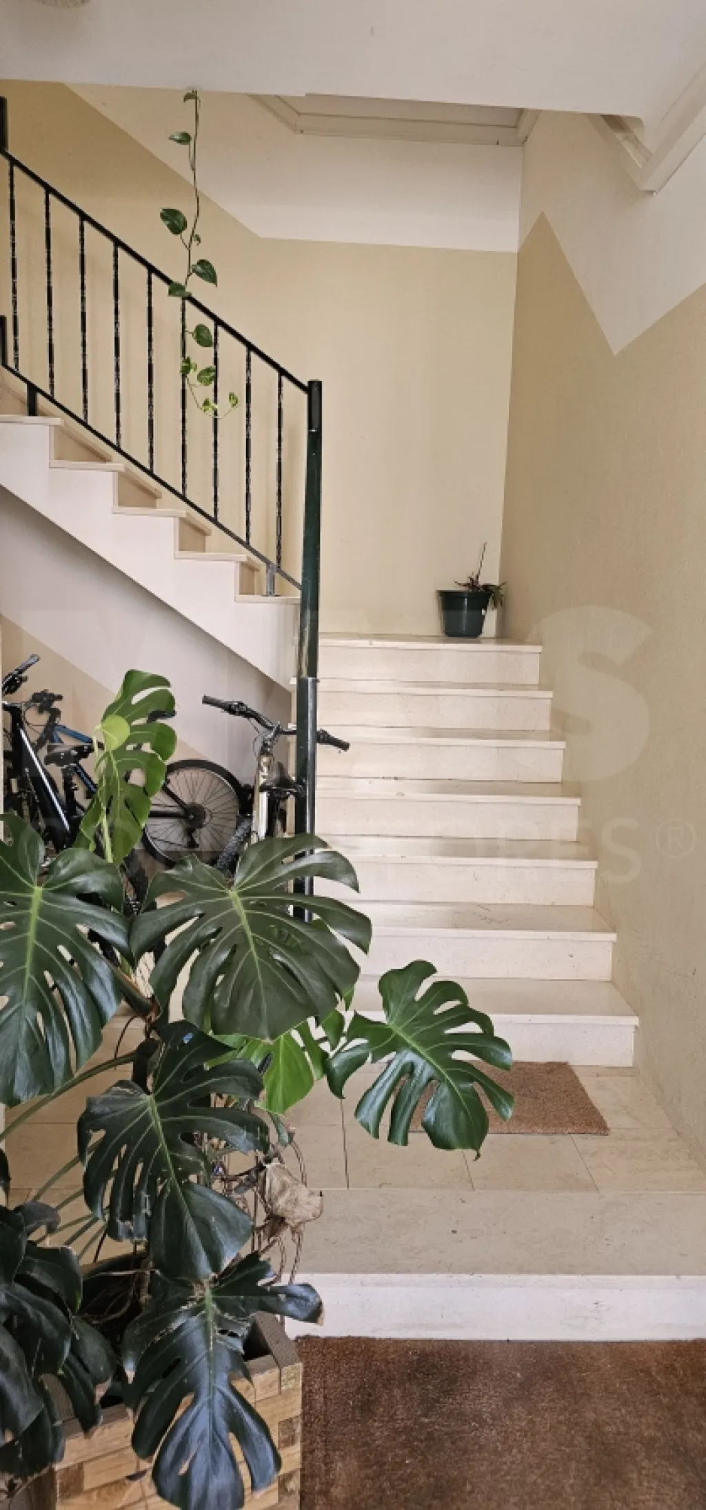 Apartamento T3 no Centro de Alpiarça | Áreas Generosas, Varandas e Excelente Localização