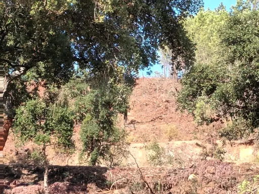 Terreno Misto, Salgueiro do Campo, Castelo Branco