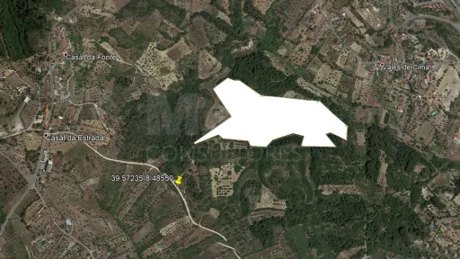 Terreno Rústico arborizado zona de POUSOS