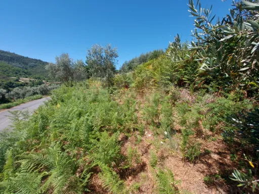 Rustic land with 1890m2 Pisão / Côja