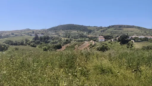 Terreno p/ Construção c/ 2.299m2 & Proj. Aprovado p/ Moradia T3 Térrea!